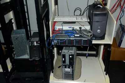 DSC_1323 (Large).JPG